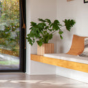 GrowON Natural Ash