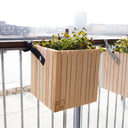 GrowON+ HoldON Natural Ash - Squarely