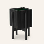 GrowON Schwarze Esche + StandON