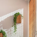 GrowSMALL Wall Dunkle Eiche