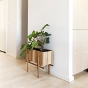 GrowWIDE Esche Natur + StandWIDE