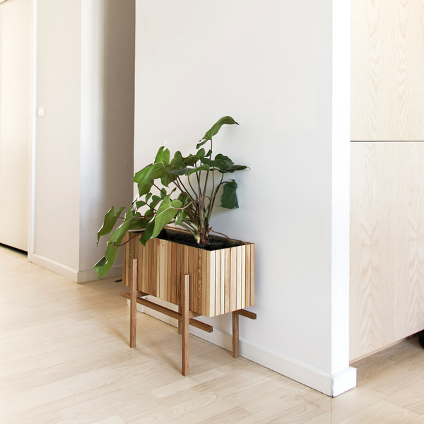 GrowWIDE Esche Natur + StandWIDE