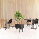 GrowWIDE Black Ash