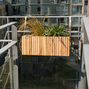 GrowWIDE + HoldON Natural Ash - Squarely