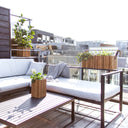 GrowWIDE Dark Oak + HoldON