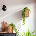 GrowSMALL Wall Dunkle Eiche