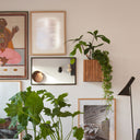 GrowON Wall Dark Oak