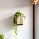 GrowSMALL Wall Naturlig Ask