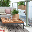 GrowON Natural Ash