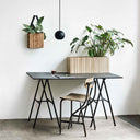 Bürowand-Design-Set Esche Natur / Schwarze Esche