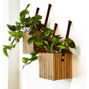 Bürowand-Design-Set Esche Natur / Schwarze Esche