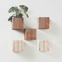 Green Wall Set